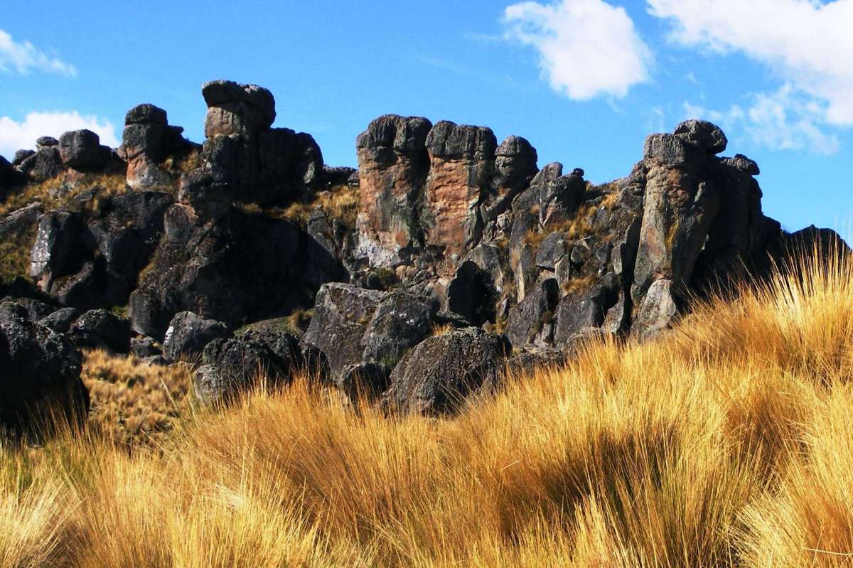 Sachapite Stone Forest