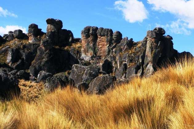 Sachapite Stone Forest