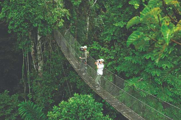 Canopy walk