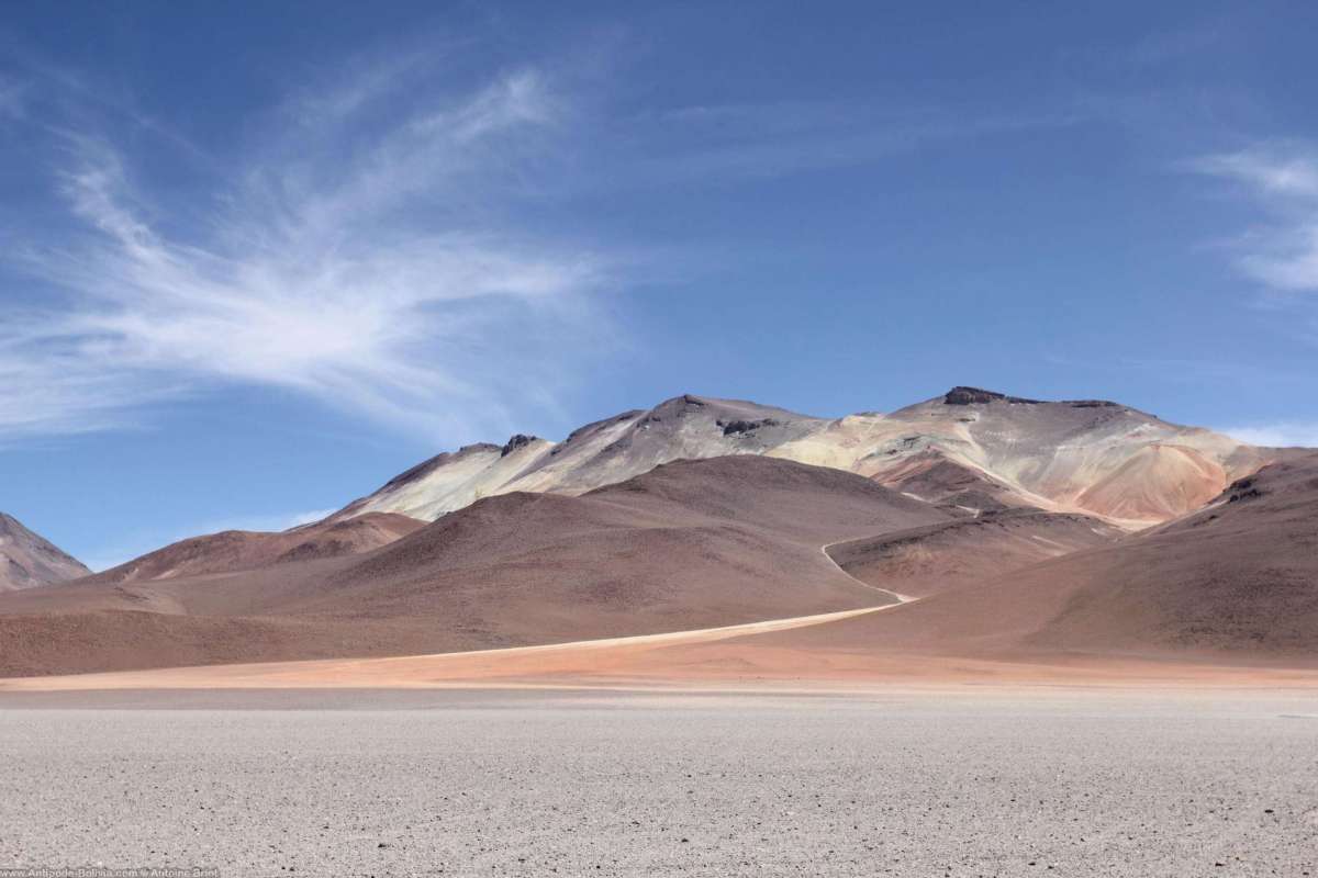 Dali's desert