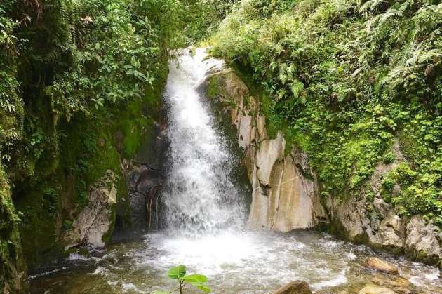 Mandor gardens