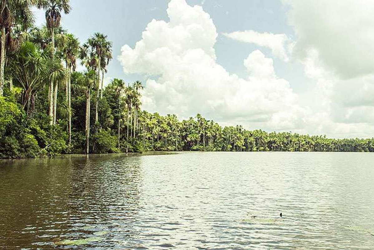 Lago Sandoval