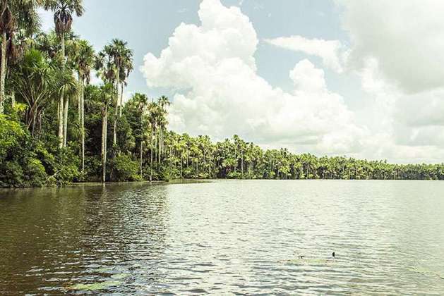 Lago Sandoval