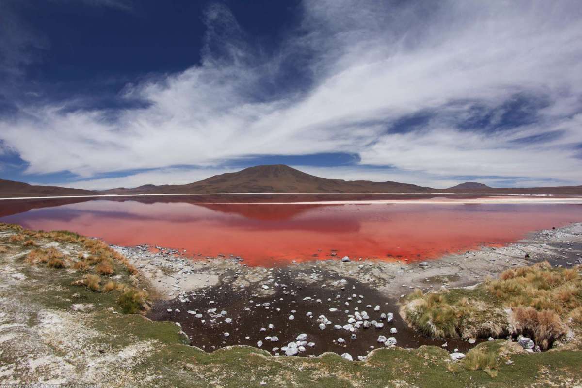 Laguna Colorada