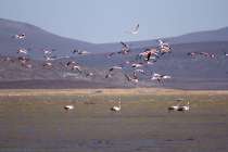 Laguna de Salinas