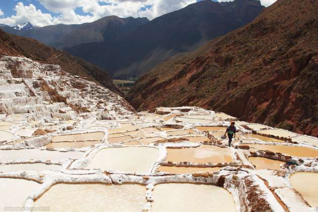 Maras