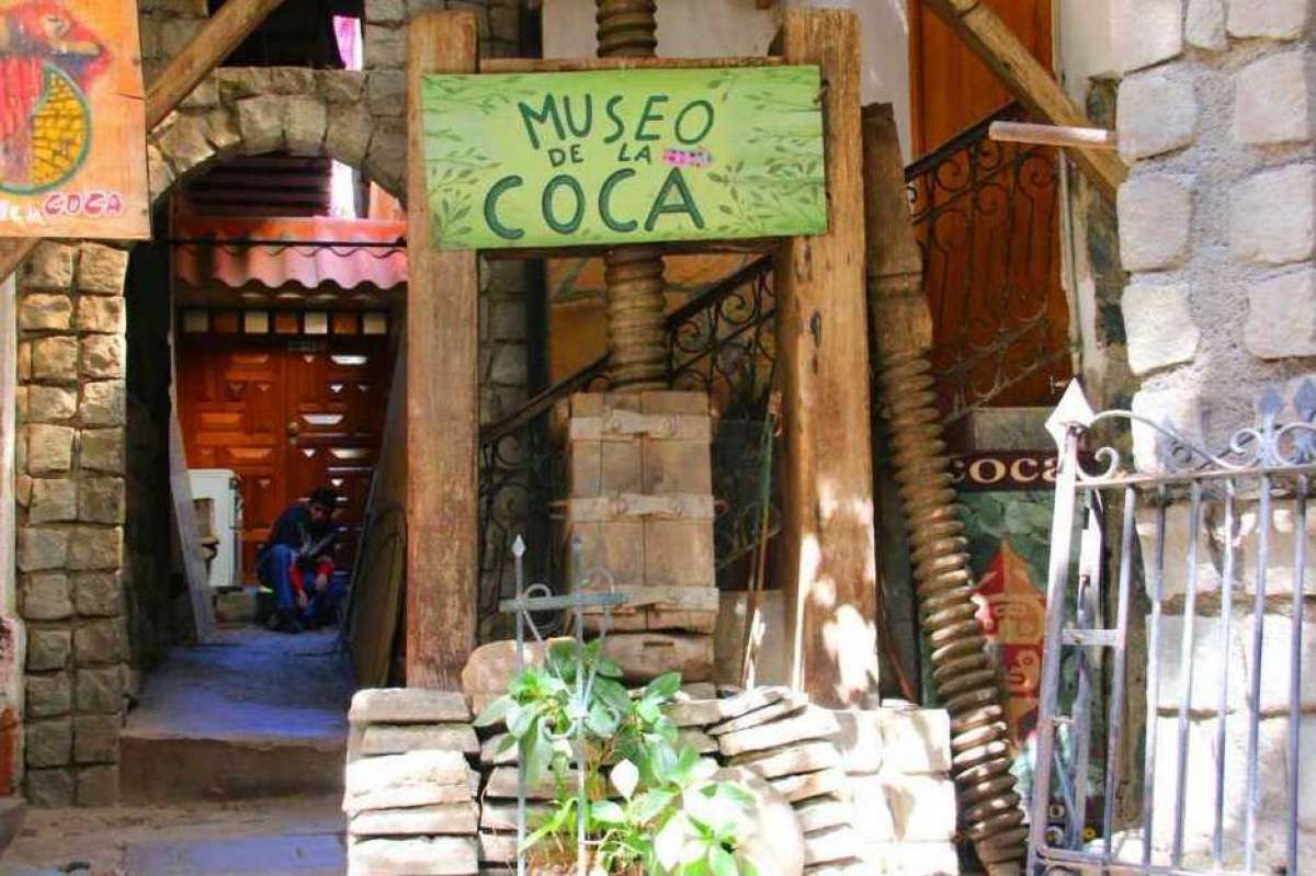 Coca leaves Museum