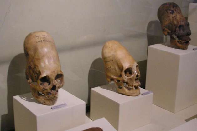 Museo Regional de Ica