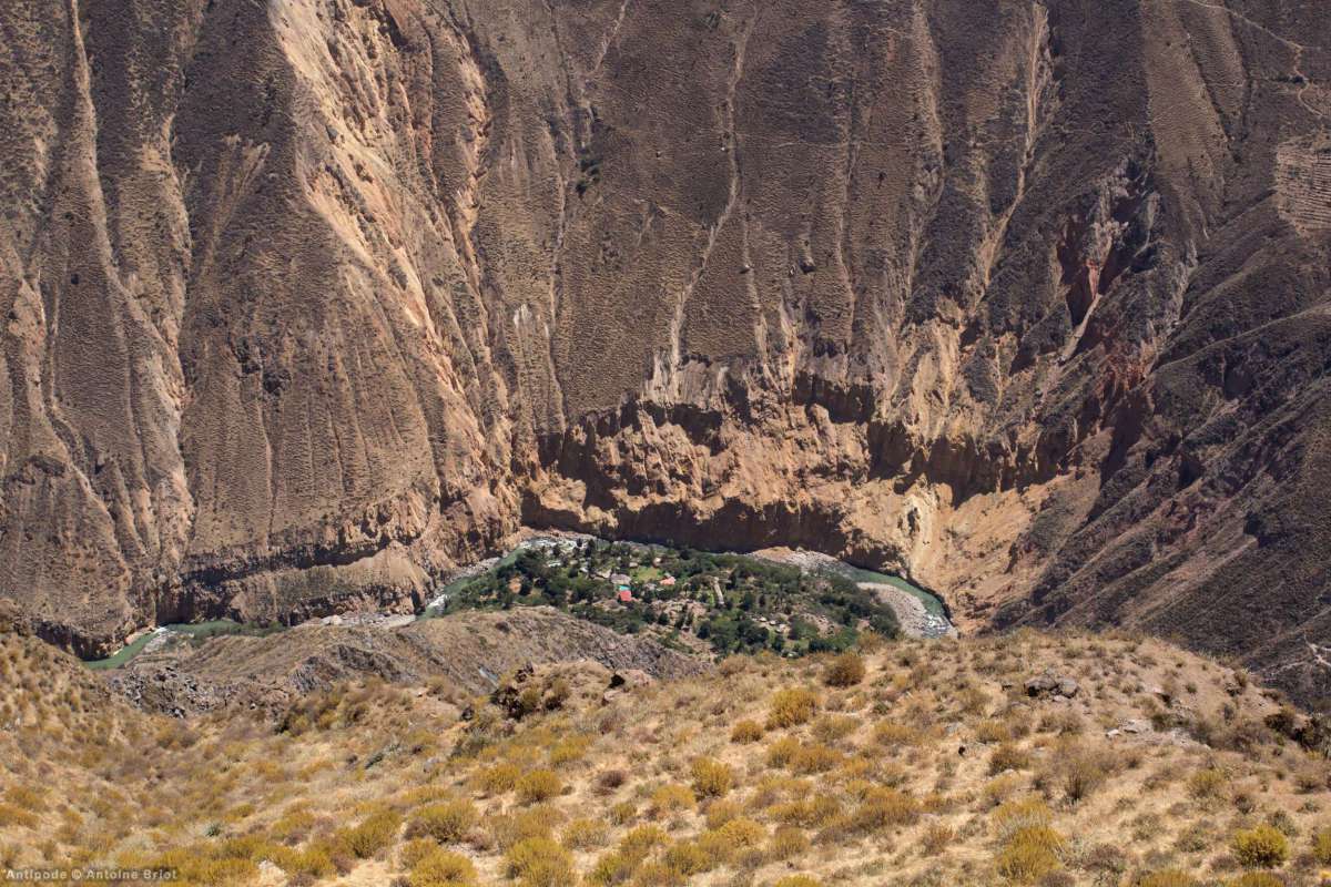 Oasis Sangalle