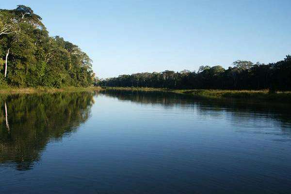 Manu National park