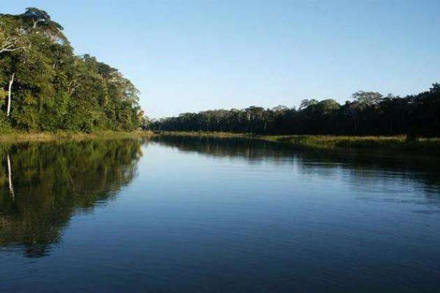 Manu National park