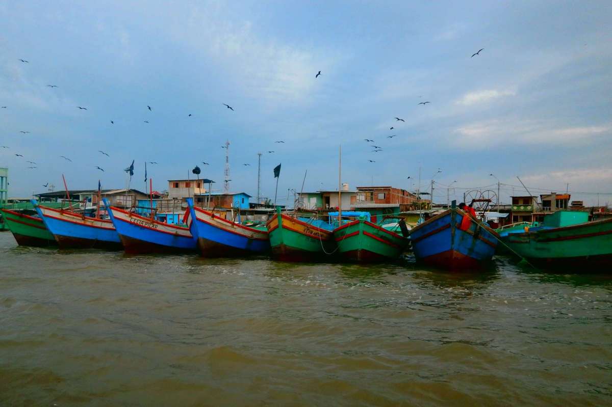 Puerto Pizarro 