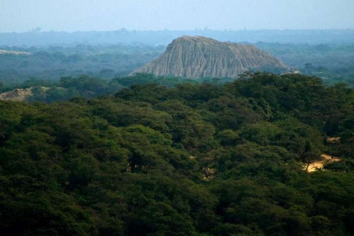 Reserva de biosfera del noeroeste