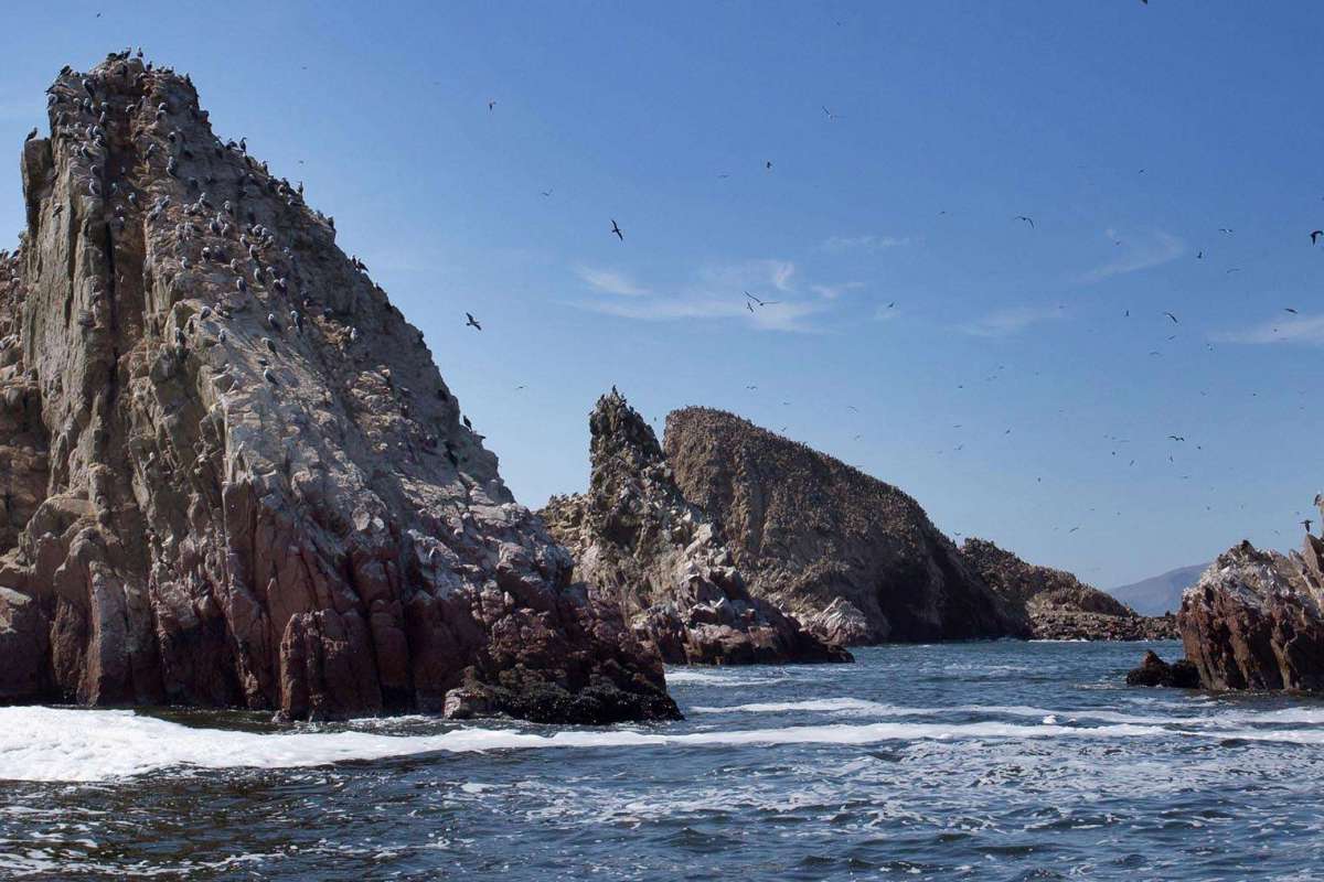 Reserva Nacional de Paracas