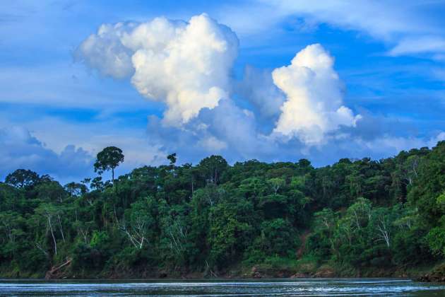 Rio Tambopata