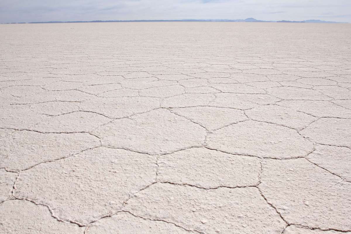 Salar de Capina 