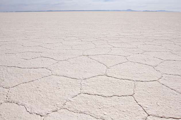 Salar de Capina 