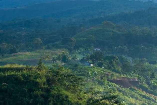 Tarapoto