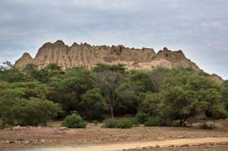 Bosque de Pomac