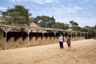Bosque de Pomac
