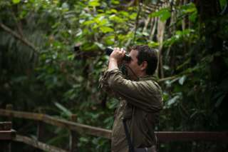 Canopy walk