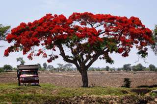 Chiclayo