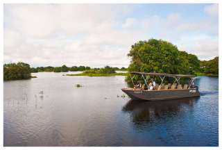 Aria Amazon Cruise
