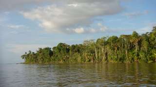 Amazone river