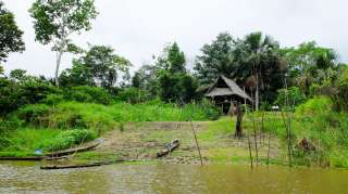 Amazone river
