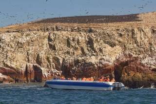 Ballestas island