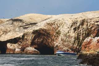 Ballestas island
