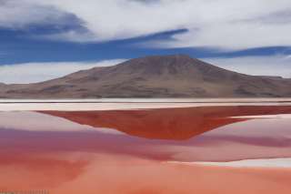 Laguna Colorada