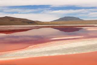 Laguna Colorada