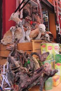 The Witches' market