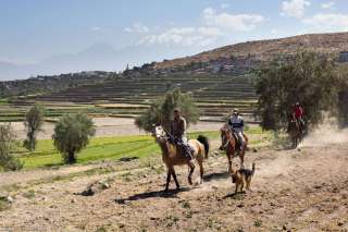 Molino de Sabandia