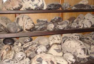 Museum of engraved stones