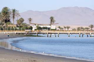 Paracas