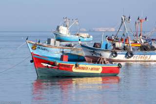 Paracas