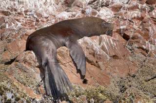 Paracas National Reserve