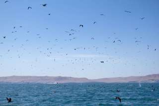 Paracas National Reserve