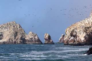 Paracas National Reserve