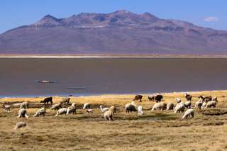 Salinas y aguadas Blanca National Reserve 