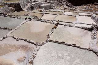 Salt ponds of Maras