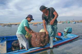 Pueblo de pescadores de Lagunillas