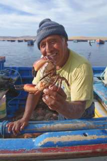 Pueblo de pescadores de Lagunillas