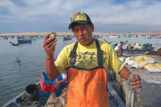Pueblo de pescadores de Lagunillas