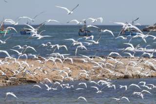 Pueblo de pescadores de Lagunillas