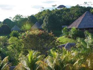 Arrival in Iquitos and transfer to the Lodge.