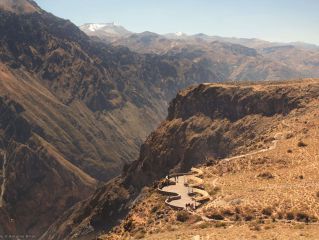 Colca canyon and departure to Puno