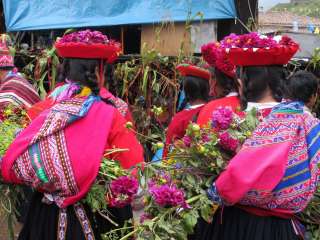 Cusco / Lima